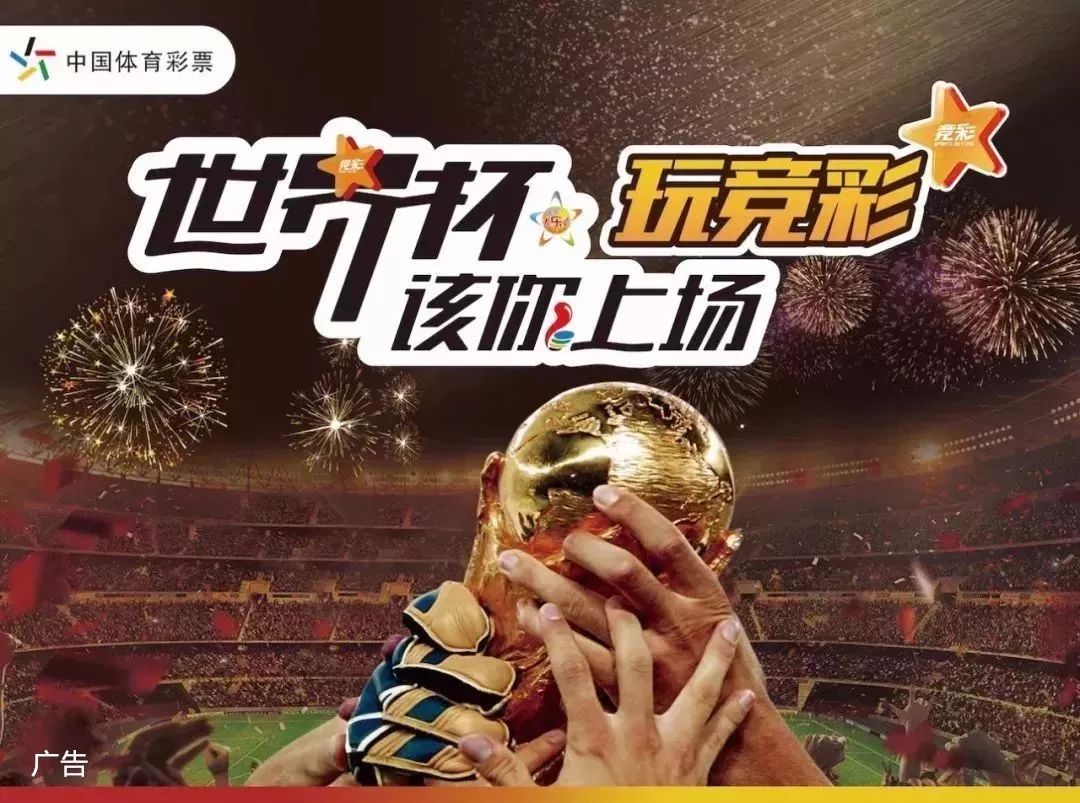 稳定器 稳定器